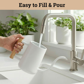 HB Design Co long-spout pouring action over multiple plant pots.