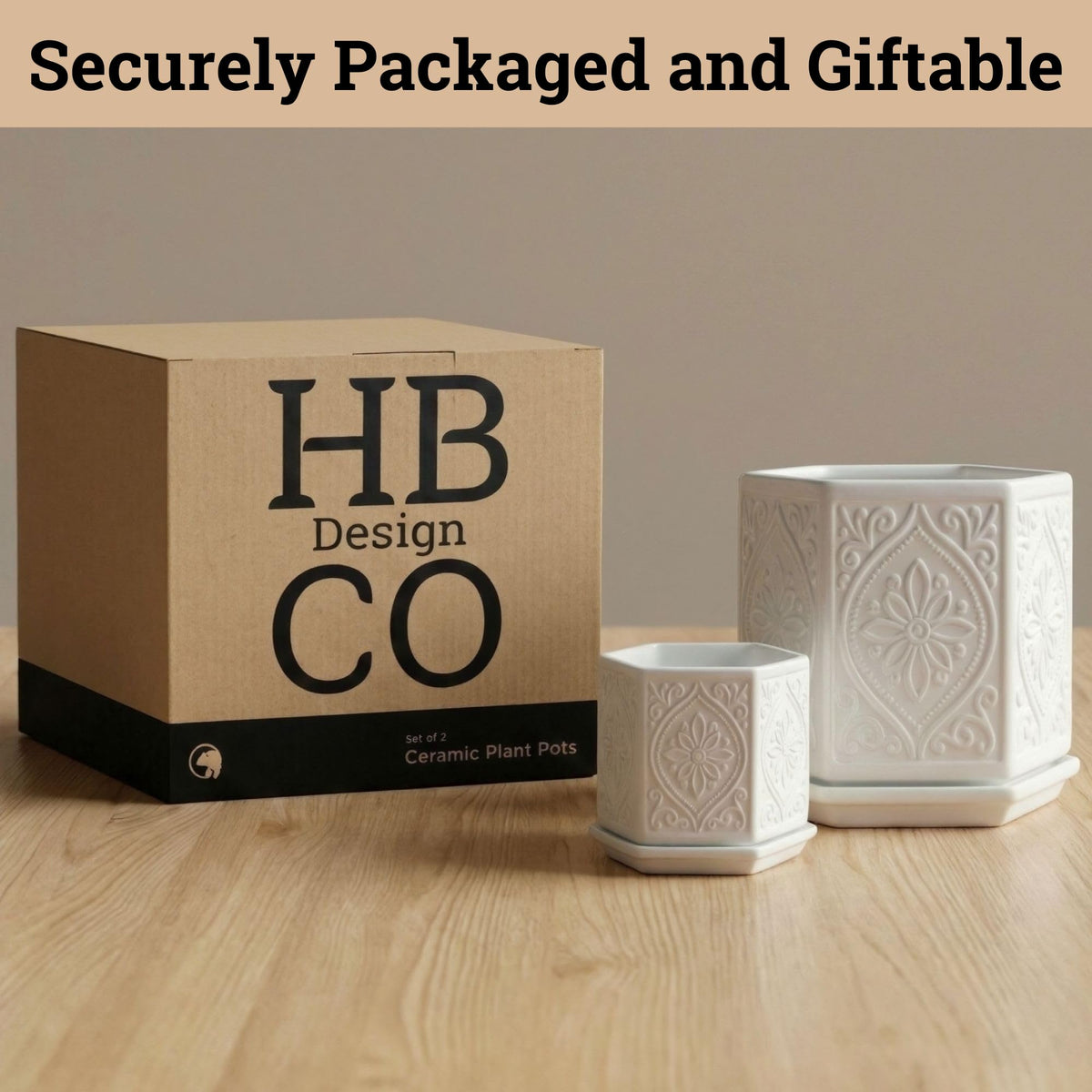 HB Design Co plant in hexagon pot for modern decor