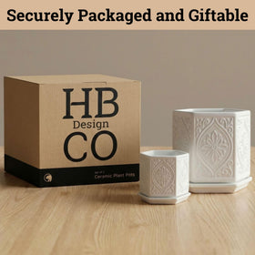 HB Design Co plant in hexagon pot for modern decor