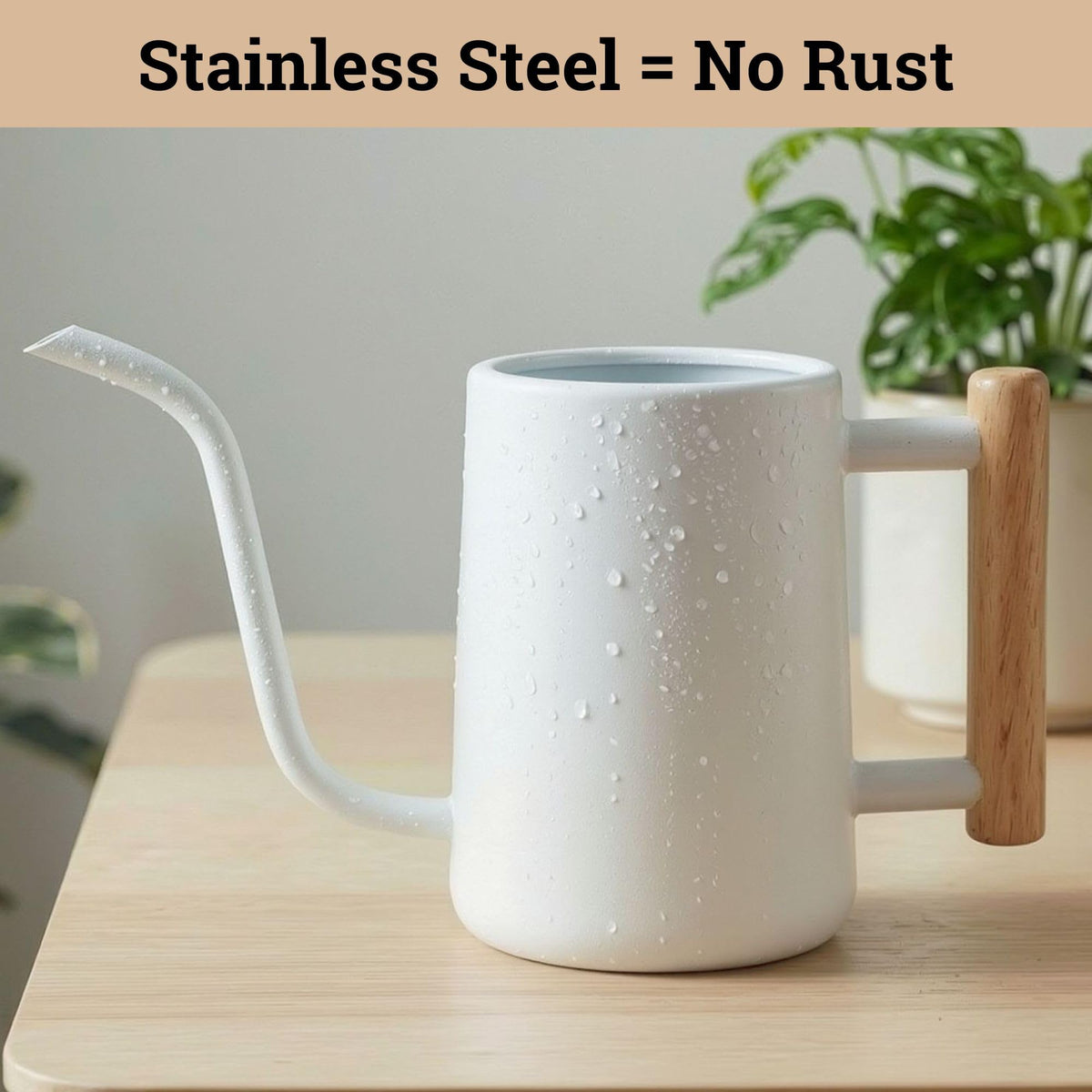 HB Design Co stainless steel watering can reveals rust-free durability.