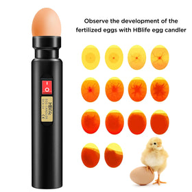 HBlife Egg Candler long runtime after a quick charge.