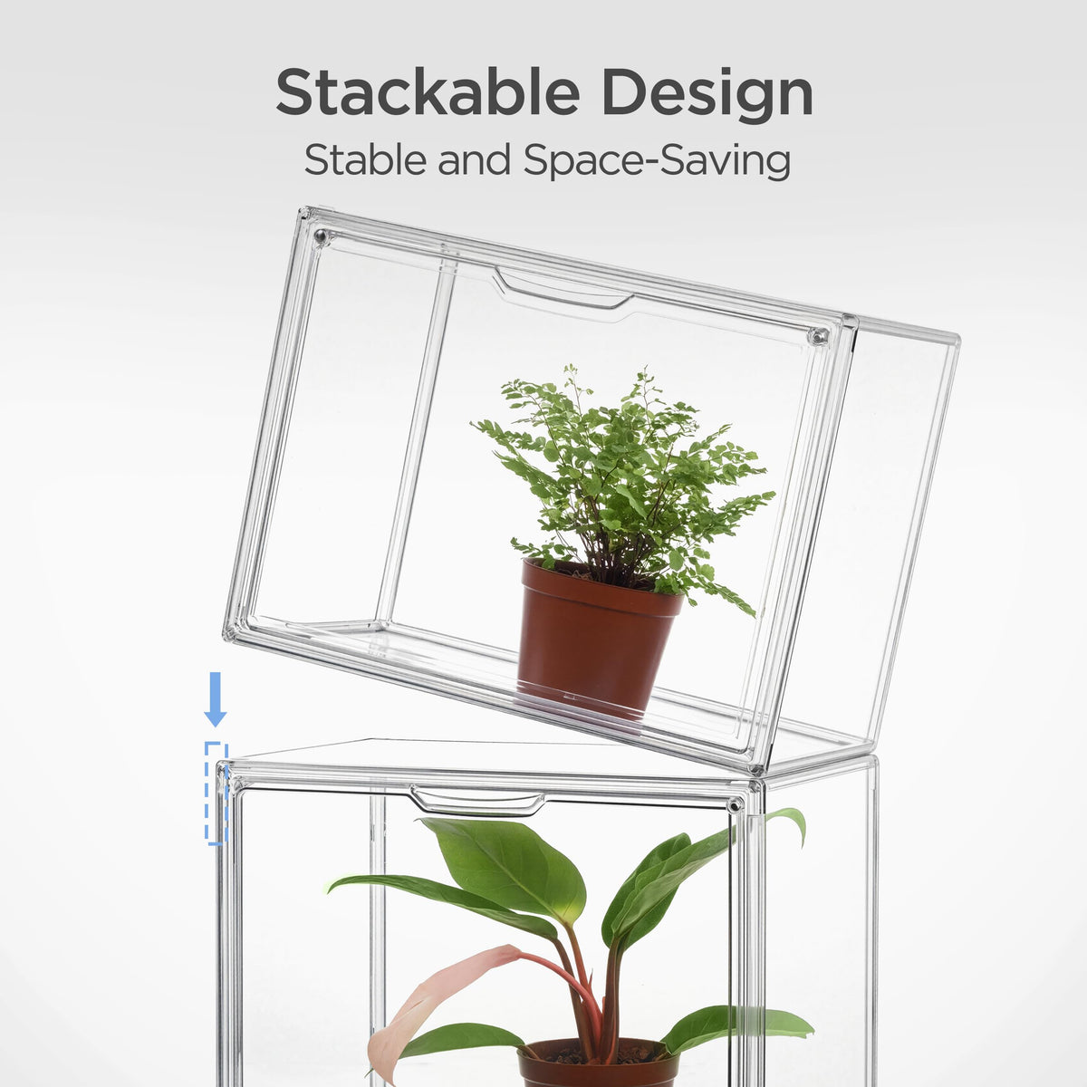 HBlife clear PE material provides a 360 degree view while protecting plants.