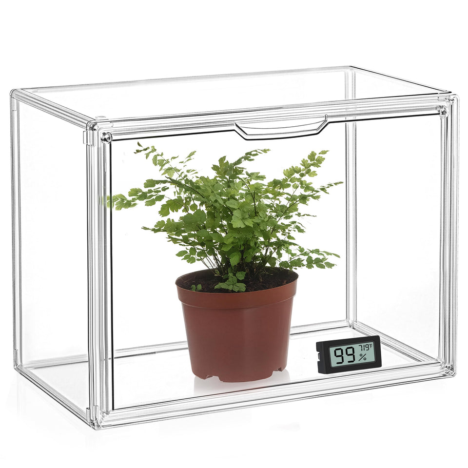 HBlife mini greenhouse front view for seedling start with clear visibility.
