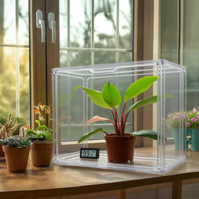 HBlife tabletop greenhouse enables easy desktop cultivation and observation.