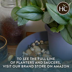 2-pack convenience for multiple pots in patios or balconies.