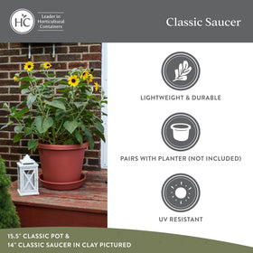 HC round plant tray under pot keeps decks clean and tidy.