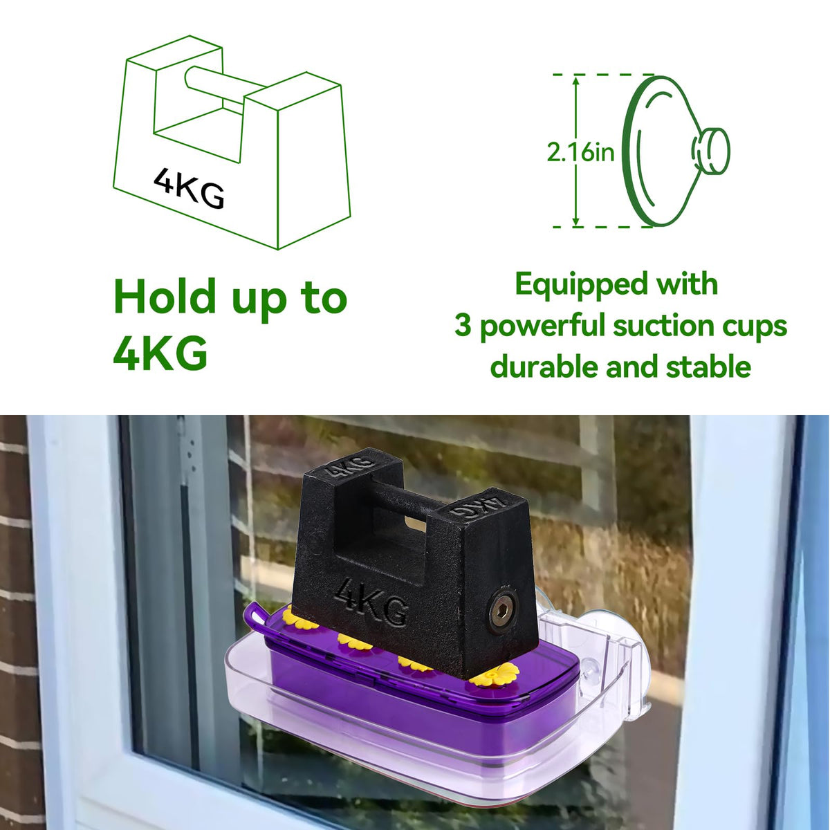 Clear nectar container allows quick monitoring of nectar level and freshness.