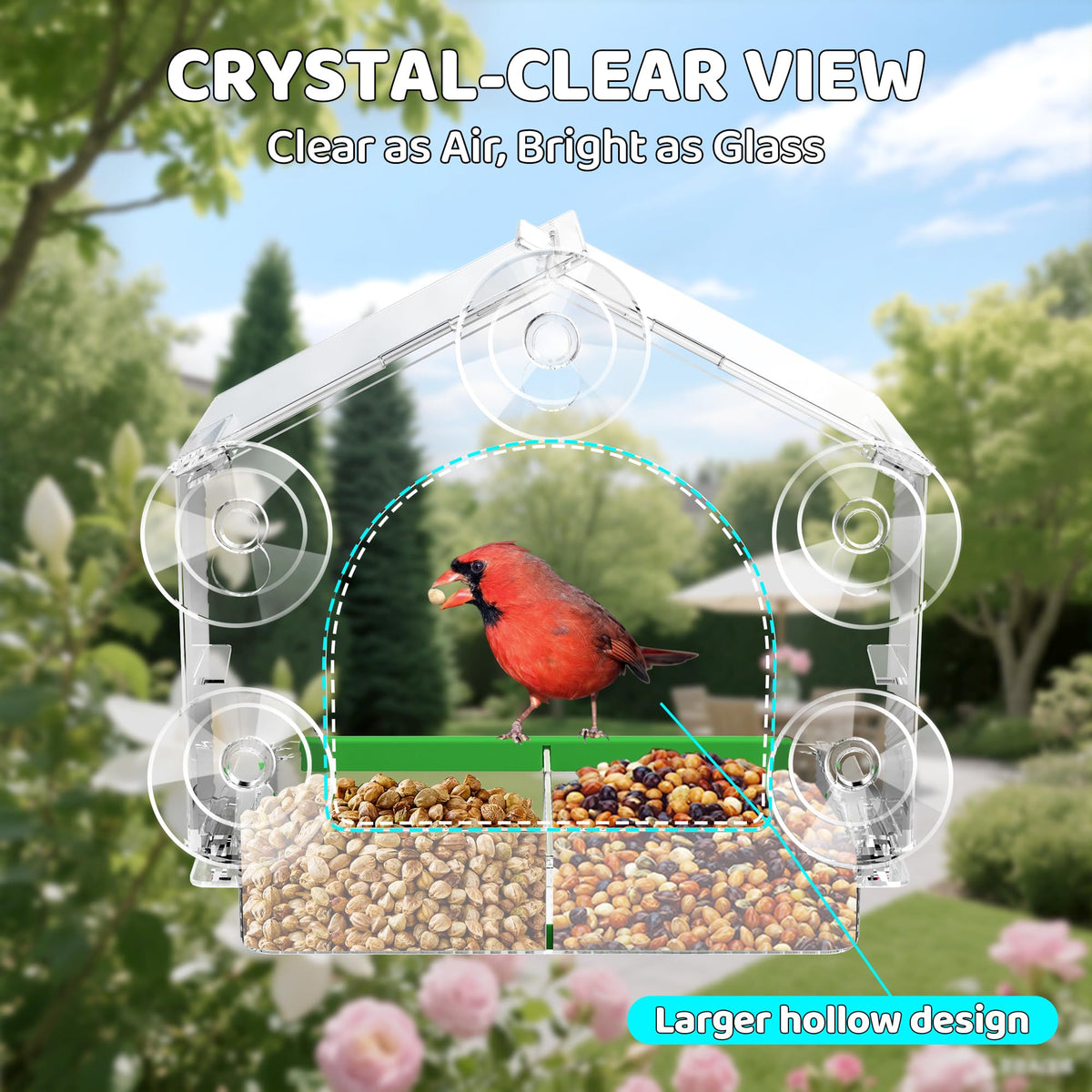 Crystal clear view to observe birds up close through your window.