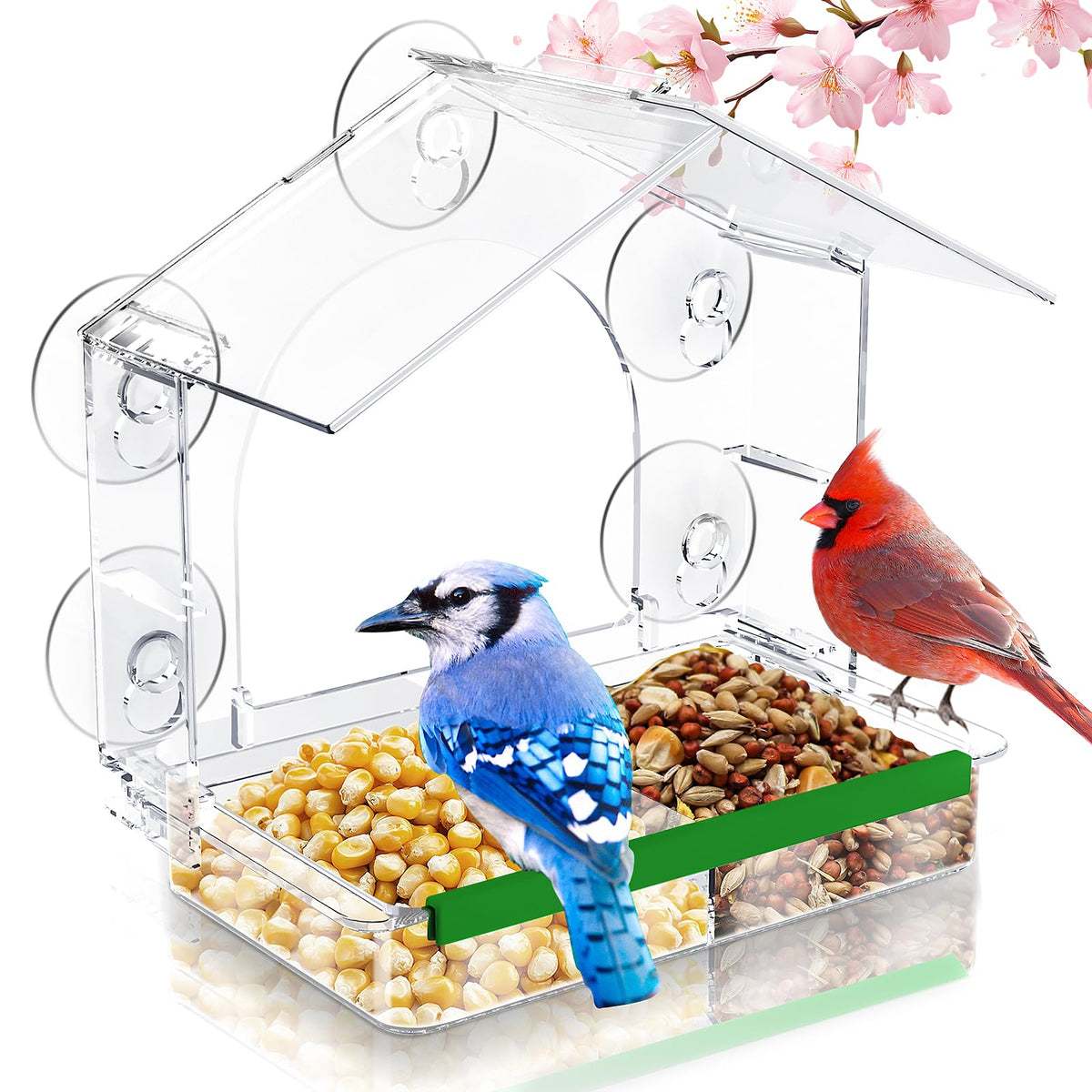 HCGADON window bird feeder with strong suction cups for secure glass mounting.