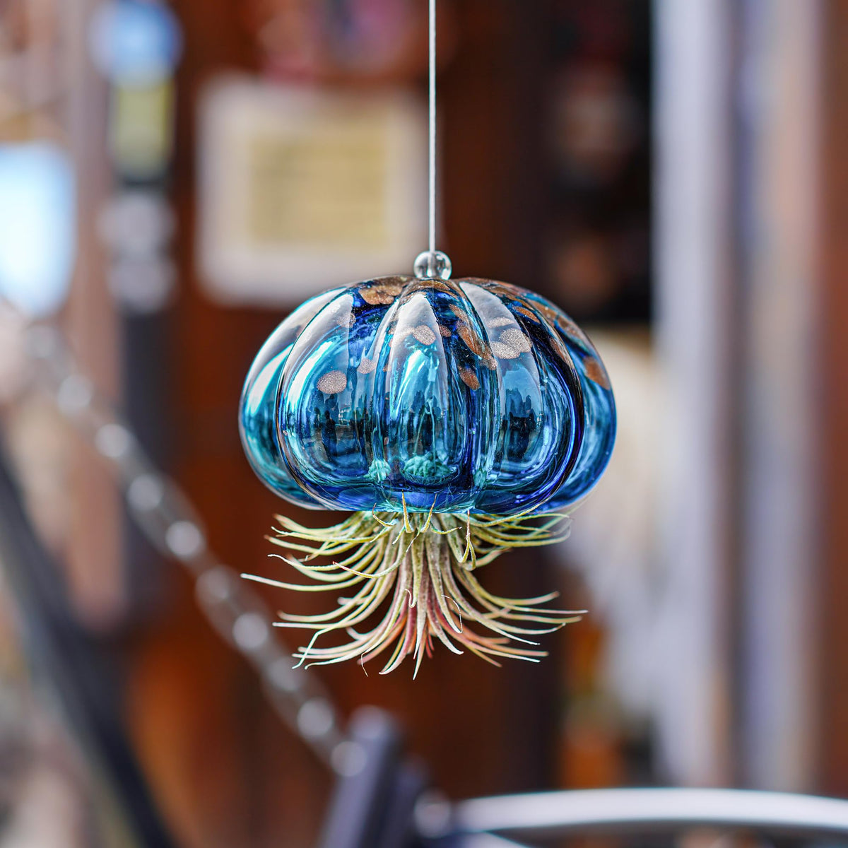 H&D Hyaline & Dora jellyfish hanging planter floating blue form for bright shelves.