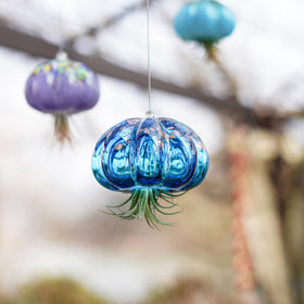 H&D Hyaline & Dora handmade glass jellyfish gift idea for friends.