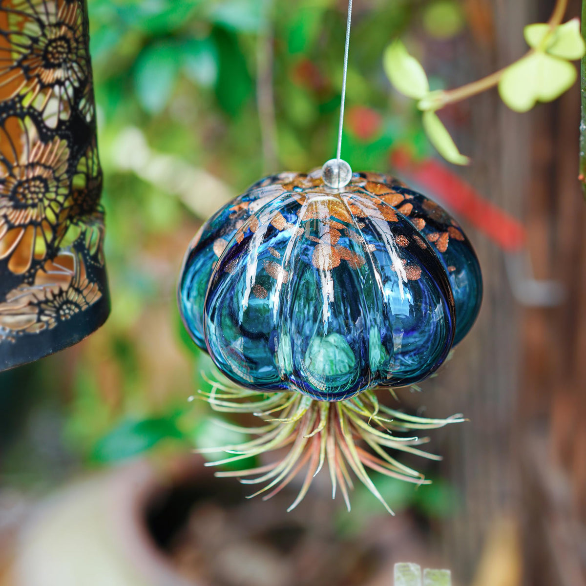 H&D Hyaline & Dora hanging planter with metal hook for easy setup.