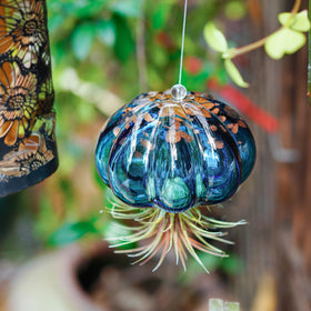 H&D Hyaline & Dora hanging planter with metal hook for easy setup.