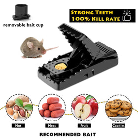 Hdama Mouse Trap designed for safe use around the home with no poison