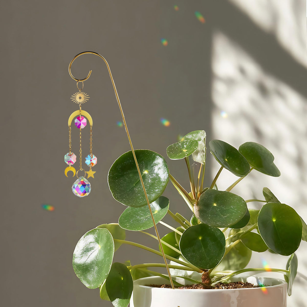 HDCRYSTALGIFTS 6-pack suncatchers with varied sizes enhance indoor potted plant displays
