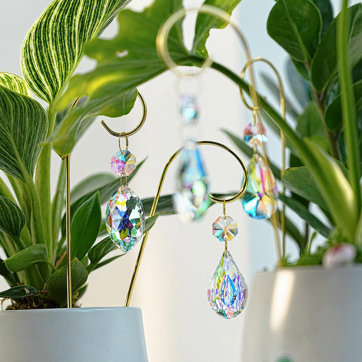 HDCRYSTALGIFTS gift for plant lovers and home decorators