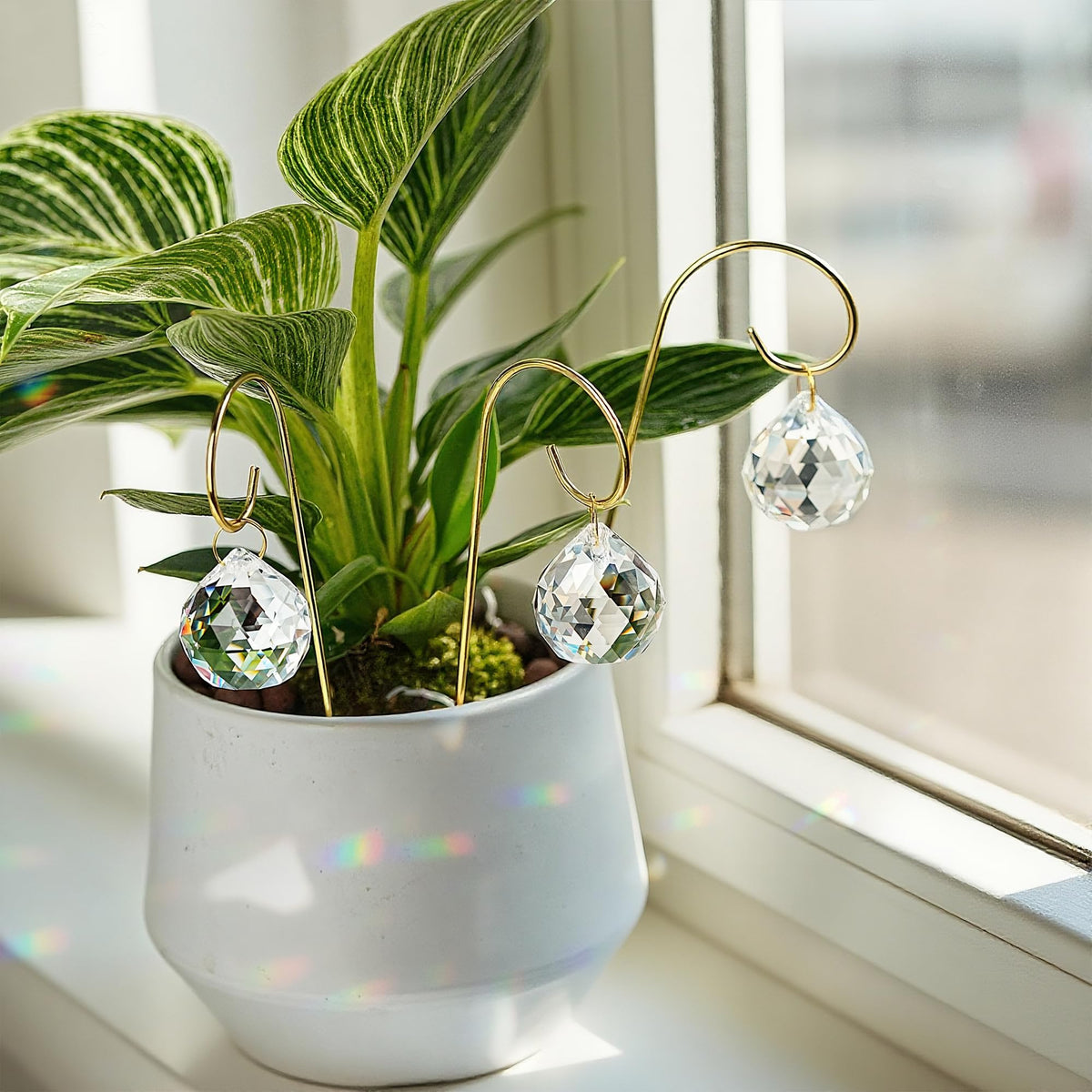 HDCRYSTALGIFTS gold plant trellis sitting beside a small pot