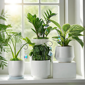 HDCRYSTALGIFTS versatile indoor-outdoor plant decor suncatchers suitable for balconies and sunlit shelves.