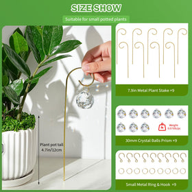 HDCRYSTALGIFTS potted plant decor highlighting sunlit shimmer