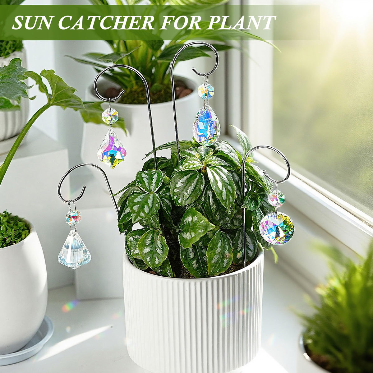HDCRYSTALGIFTS rainbow-maker suncatchers reflect sunlight to create vibrant rainbows indoors.