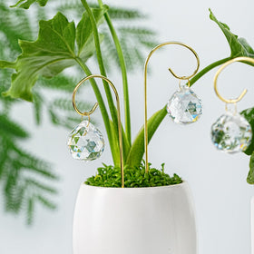 HDCRYSTALGIFTS sunlight rainbow display over a desk plant