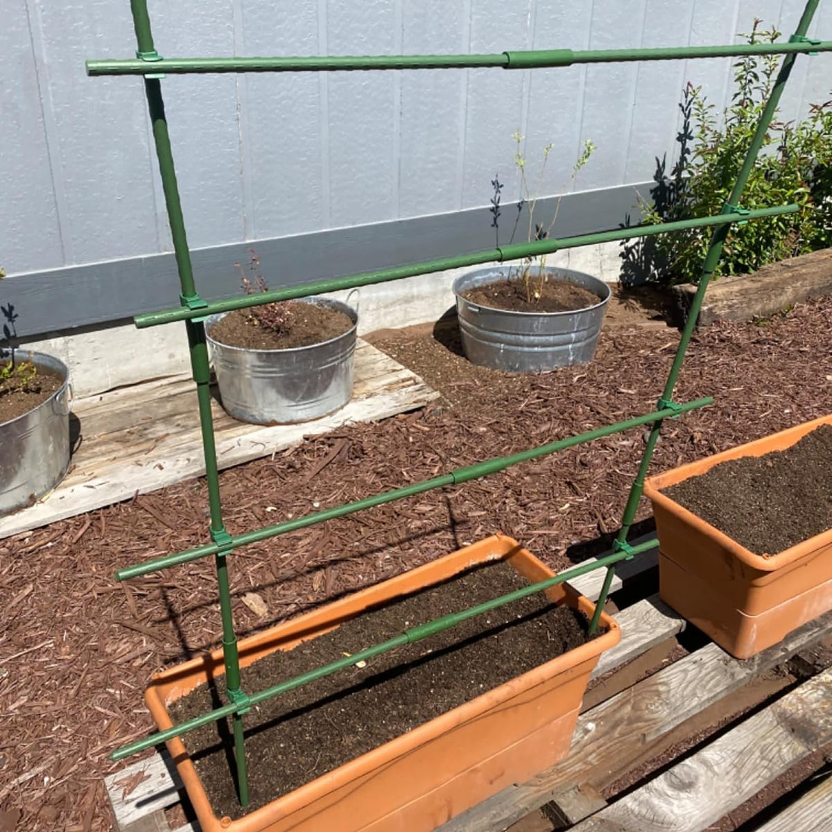 Hdeoops tomato and cucumber setup using assembled stakes for support