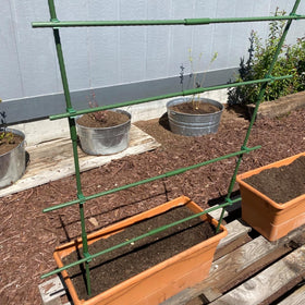 Hdeoops tomato and cucumber setup using assembled stakes for support