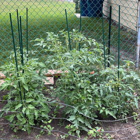 Hdeoops garden stakes set supports perennials and flowers securely.