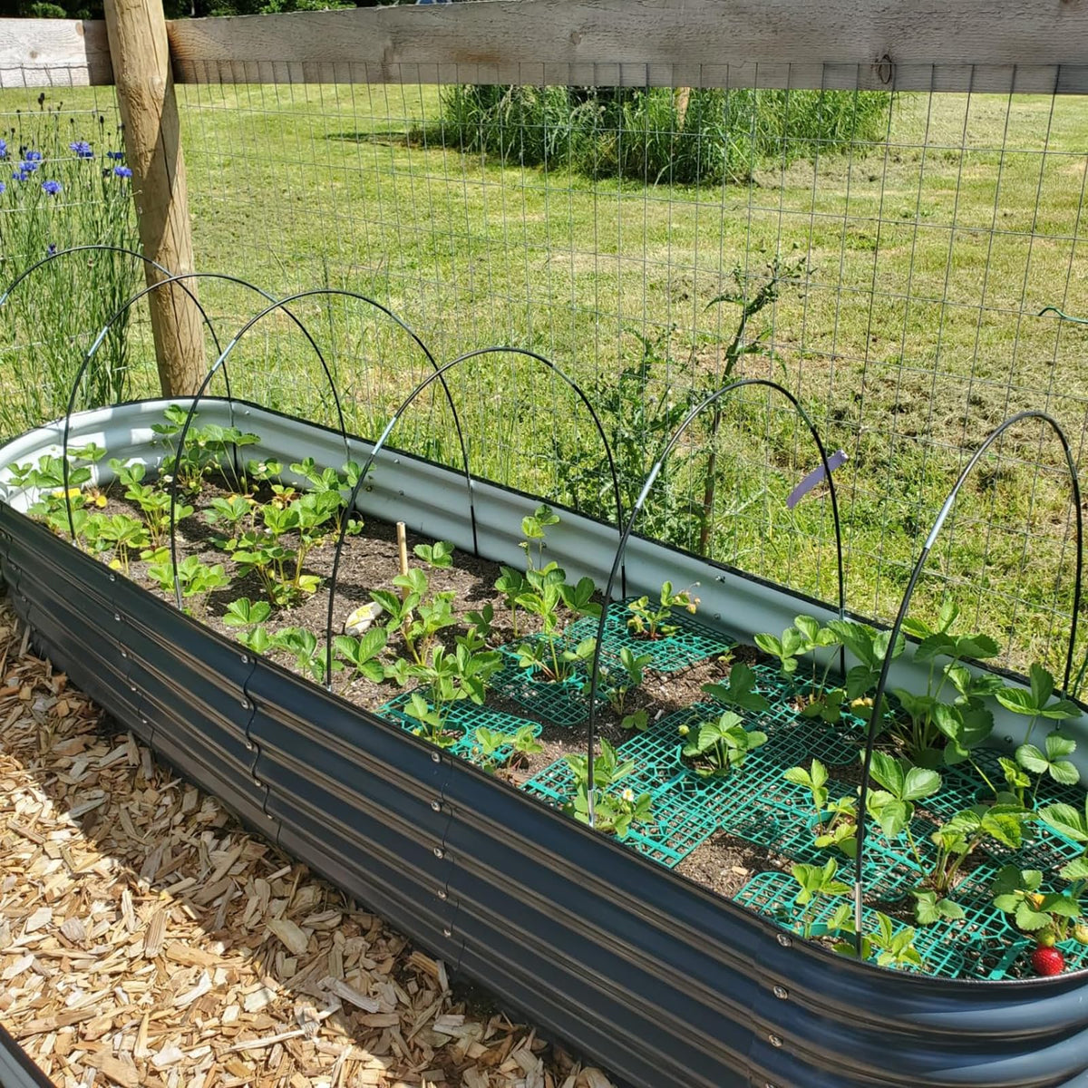 Hdeoops greenhouse hoops offer flexible framing for mini-greenhouses and row covers.
