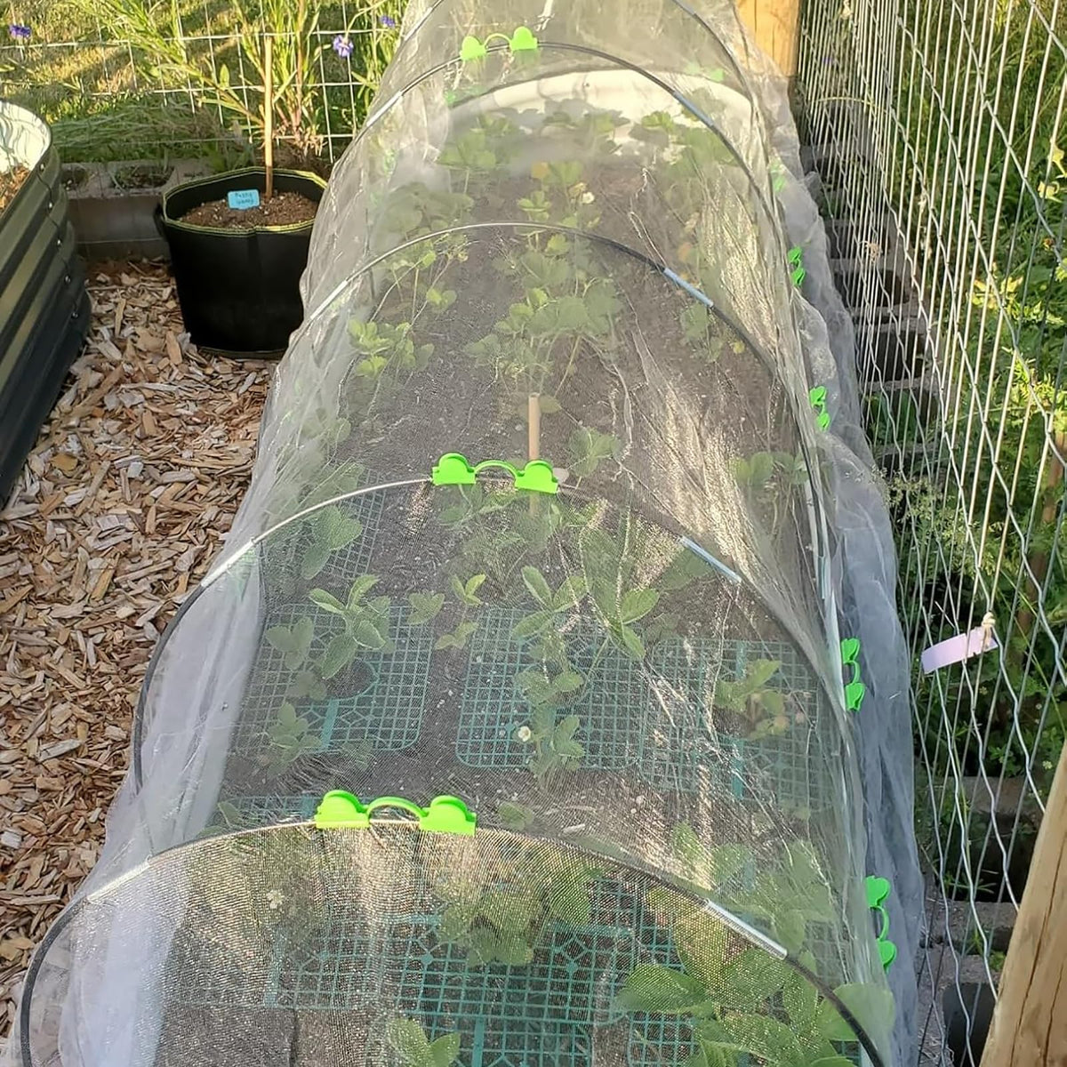 Hdeoops netting coverage with hoops enables insect protection and climate control