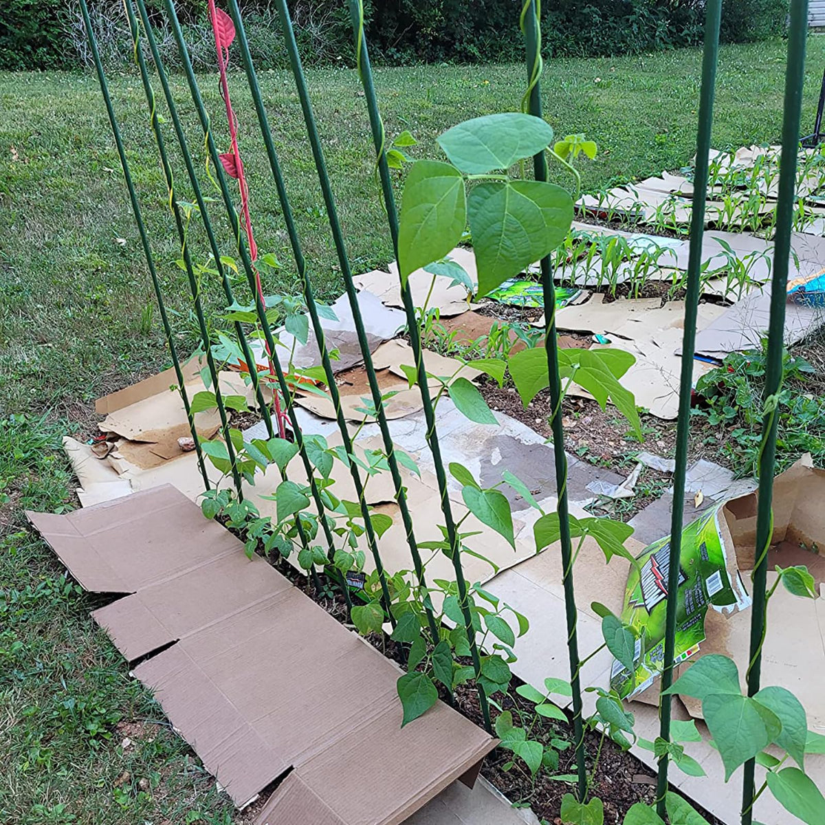 Hdeoops pointed-end stake anchors securely into soil during setup.