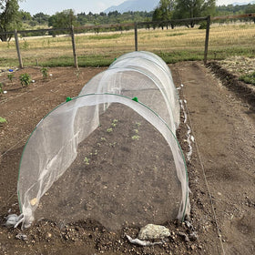 Hdeoops raised-bed setup with tunnel kit protects young plants from weather