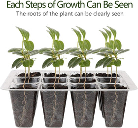 Hdeoops stackable seed starting system keeps your nursery organized and tidy.