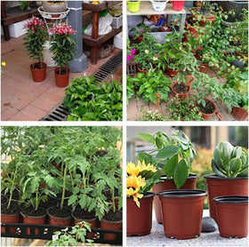 Hdeoops pots support seedlings and cuttings in nurseries.
