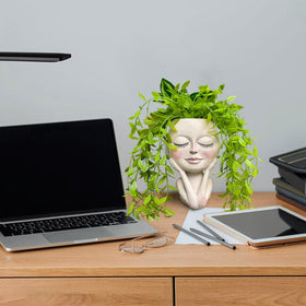 HDOOMN Face Planter Head gift-ready packaging option