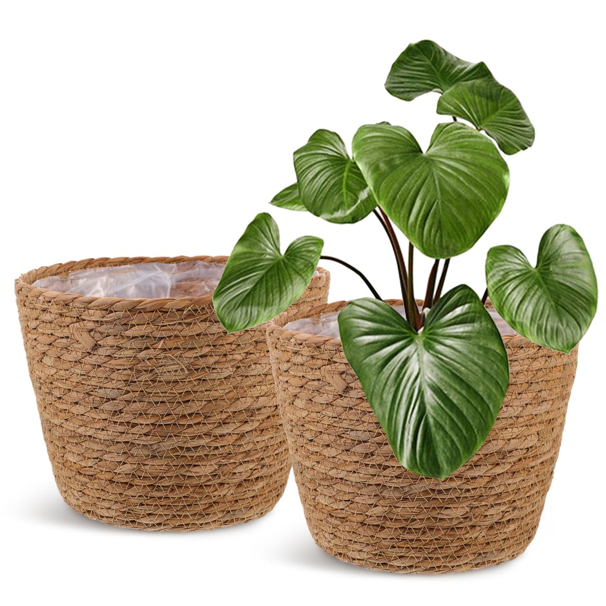 Healifty round woven basket with liner for indoor plants and leak protection.