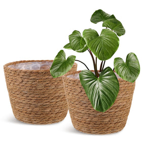 Healifty round woven basket with liner for indoor plants and leak protection.