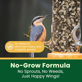 Healthy birds with glossy feathers feeding on Happy Wings seed blend.