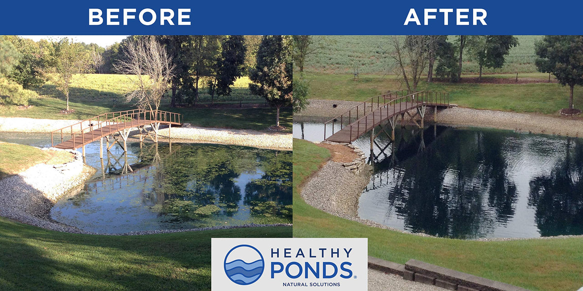 Healthy Ponds Aquasphere Pro compostable shell supports eco-friendly disposal after use.