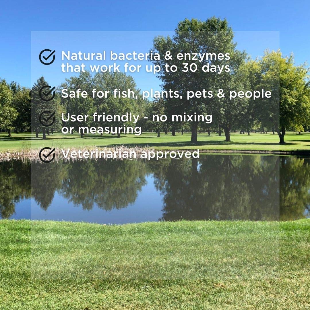 Healthy Ponds Aquasphere Pro timed-release system continuously nourishes pond bacteria.
