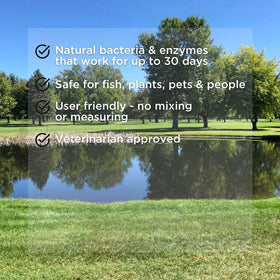 Healthy Ponds Aquasphere Pro timed-release system continuously nourishes pond bacteria.