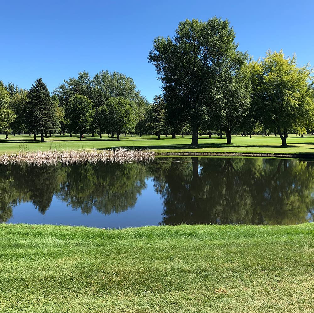 Healthy Ponds dye creates cooler ambiance and enhanced pond aesthetics.
