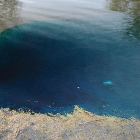 Healthy Ponds blue dye swirls in water, showing color diffusion.