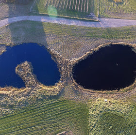 Healthy Ponds shore-toss application demonstrates easy pond colorant use.