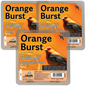 Heath Orange Burst Suet Cake 3-pack for year-round bird feeding and energy