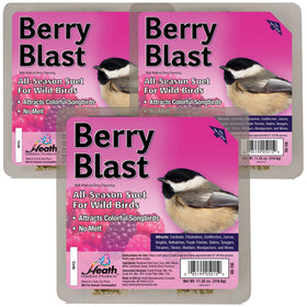 Heath Outdoor Berry Blast suet cake three-pack ready for a bird-friendly feeder setup.