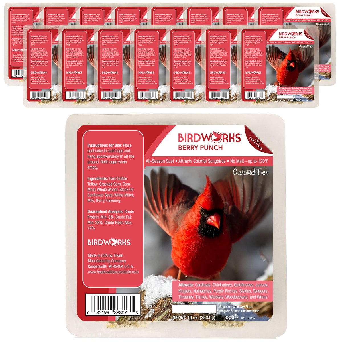Heaath Outdoor Berry suet cakes, 16-pack, ready for year-round feeding