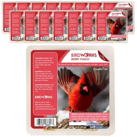 Heaath Outdoor Berry suet cakes, 16-pack, ready for year-round feeding