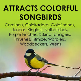 Heath Outdoor DD-25 hot pepper suet cake attracts colorful songbirds to your feeder.