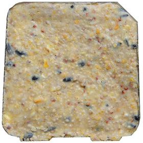 Heath DDB1-18 suet cake on feeder viewing birds in winter.